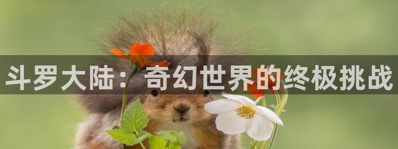香香漫画正版app下载